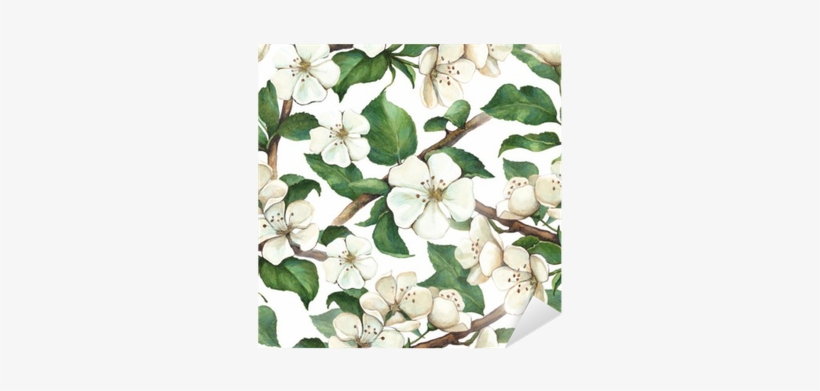 Pattern With Watercolor Apple Flowers Sticker • Pixers® - Iphone 6 Plus Case, Deco Fairy Protective Case Bumper[scratch-resistant], transparent png download