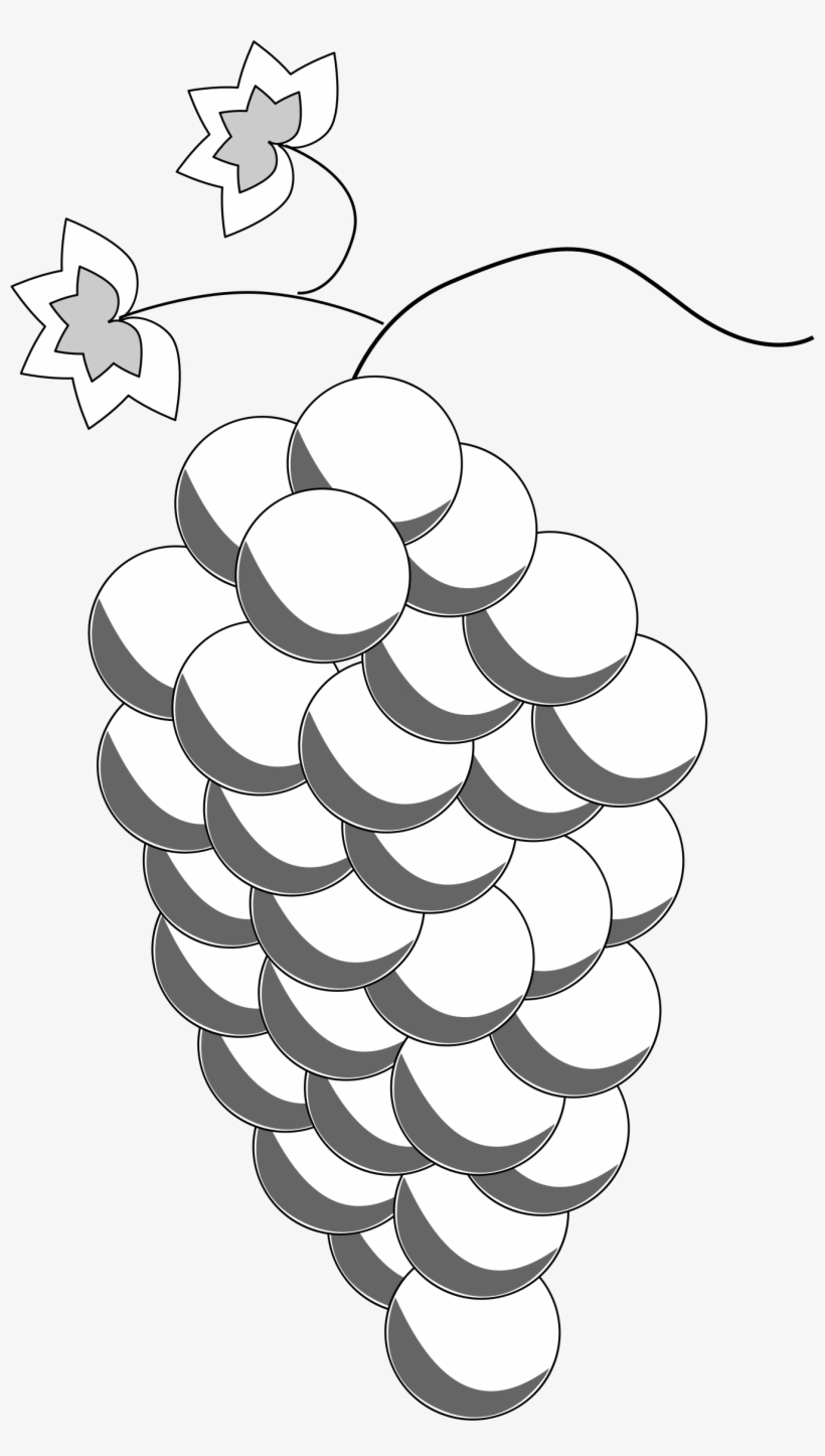 This Free Icons Png Design Of Grapes Line Art, transparent png download