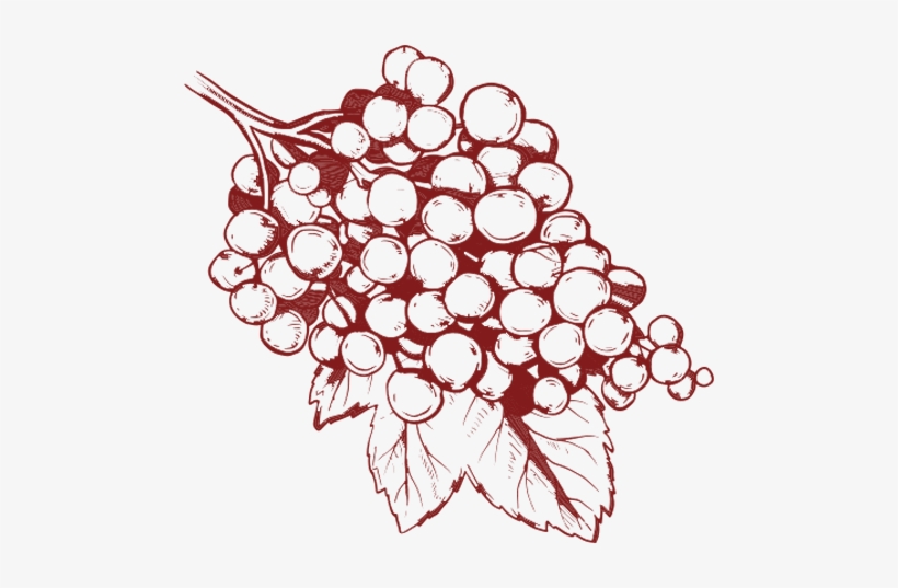 It May Be That Human Beings Were Evolutionarily Destined - Circle, transparent png download