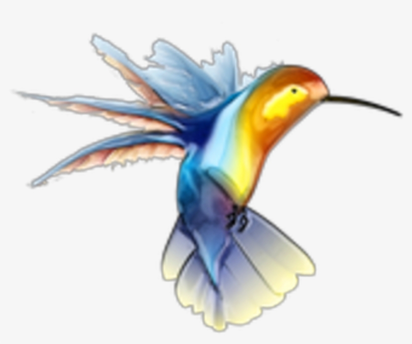Ftestickers Bird Hummingbird Watercolor - Free Hummingbird Clip Art, transparent png download
