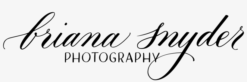 Briana Snyder Photography, transparent png download