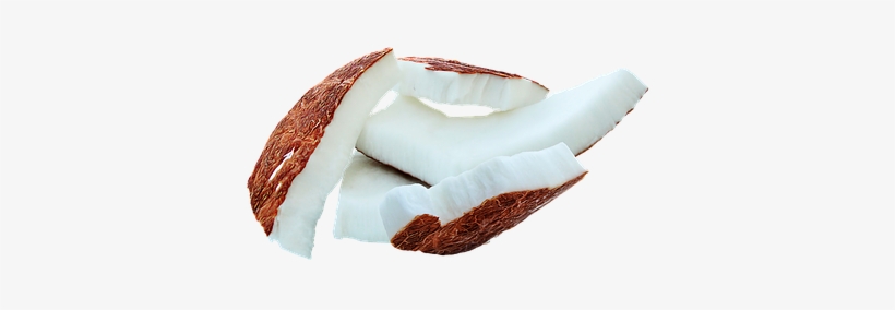 Coconut Fruit Food Coconut Coconut Coconut - Piece Of Coconut Png, transparent png download