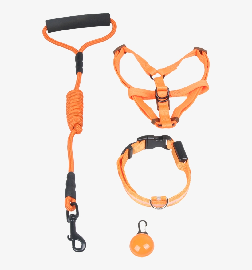 然锋 Dog Chain Dog Leash Chest Strap Teddy Golden Dog - Dog, transparent png download