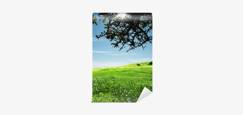 Noris 606031083 - Dogs - 500 Pieces Jigsaw Puzzle, transparent png download
