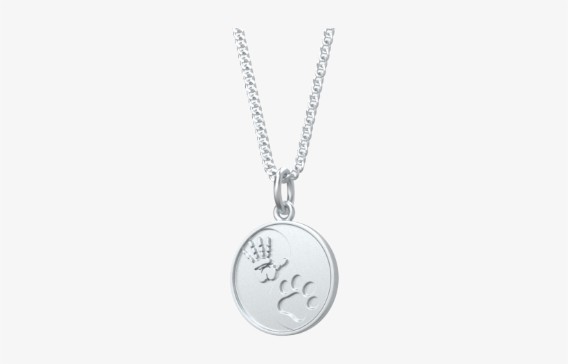 Dog Chain - Dog Accesories - Dog Necklace - Dogs Jewelry - Locket, transparent png download