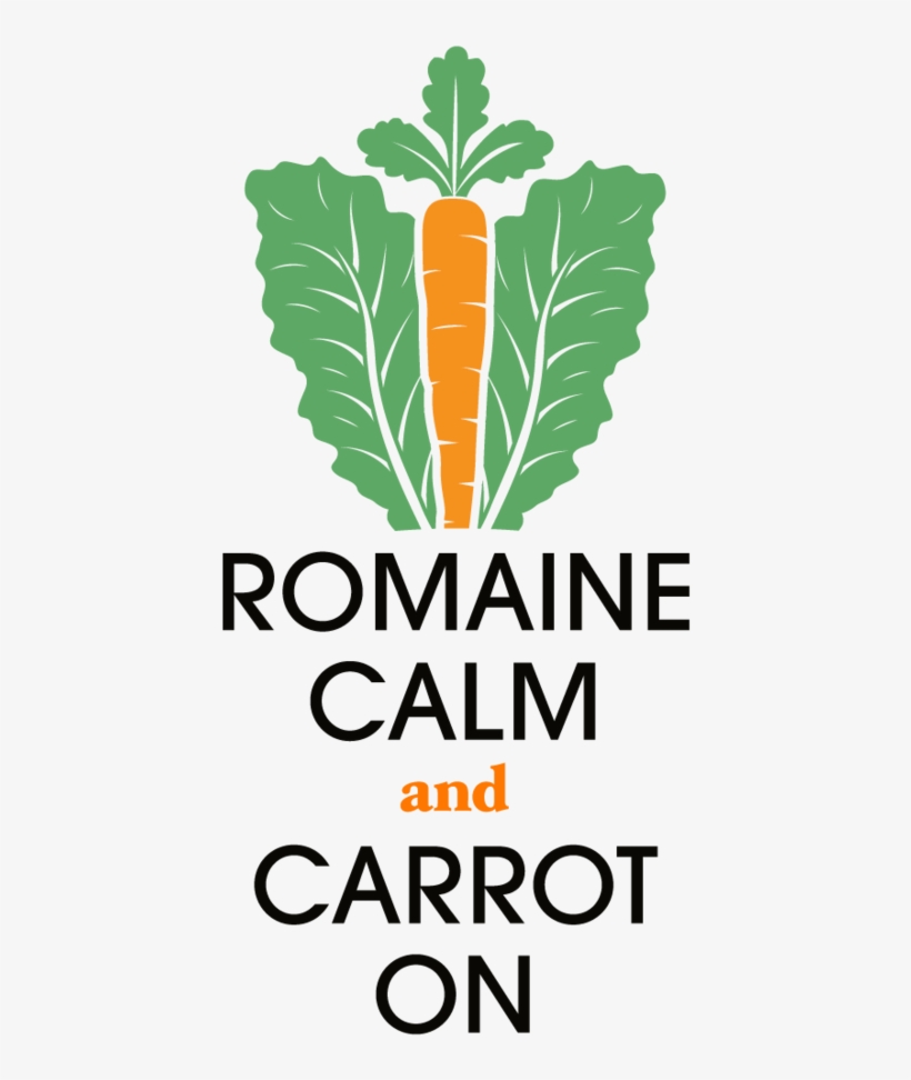 Aflo Romainecalm Front, transparent png download