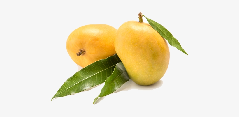 These Are Farm Fresh, Carbide Free, Full Bodied Mangoes, - Apricot, transparent png download