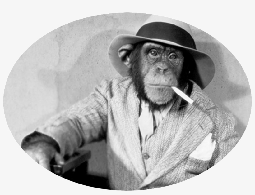 Monkeyartboard 1@300x - Gubben I Lådan [book], transparent png download