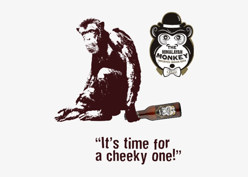 From Nowhere A Monkey Lands On The Table, Looks At - Macaque, transparent png download