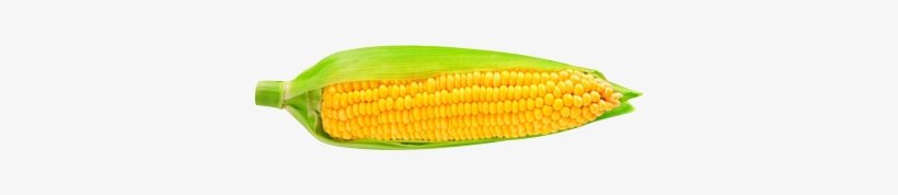 Sweet Corn - Maïs Png, transparent png download