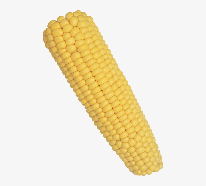 Download Free Png Corn Png Images Transparent - Corn On The Cob Png ...