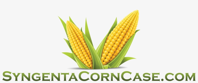 View Larger Image Syngenta Corn Case - Corn Vector Png, transparent png download