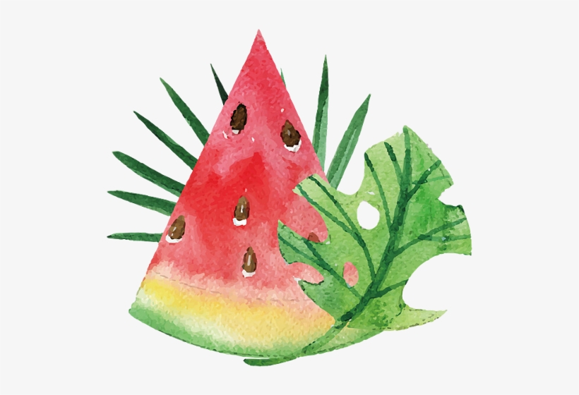 Watermelon, transparent png download