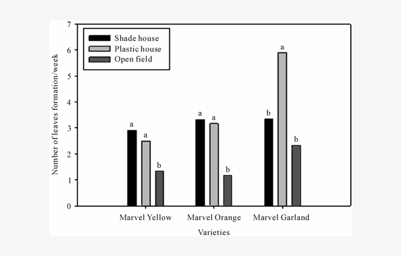 Effect Of Growing Conditions In Number Of Leaves Formation - Architecture, transparent png download