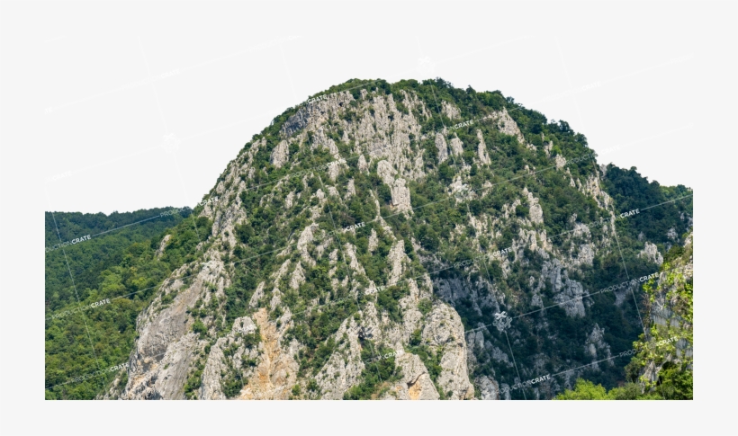 Landscape Mountain Extension • Png - Shortleaf Black Spruce, transparent png download