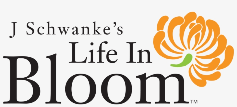 Life In Bloom - Illustration, transparent png download