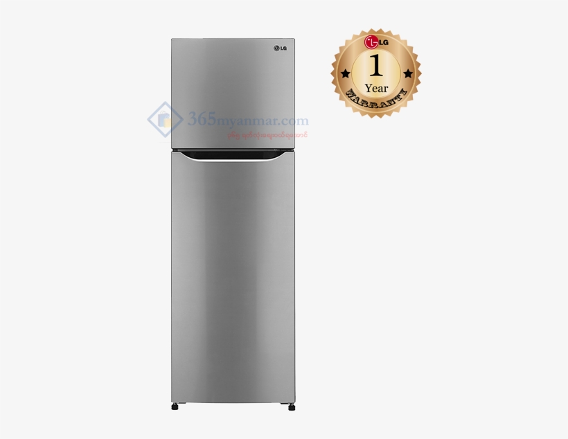 Home Lg 2 Door Refrigerator Lg - Refrigerator, transparent png download