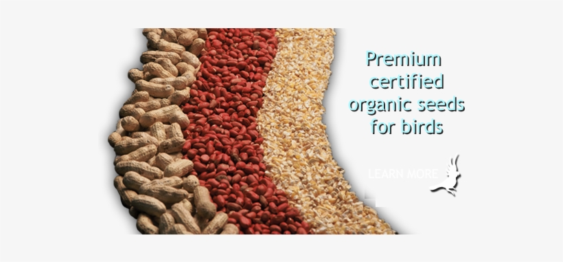 Find Local Resellers - Superfood, transparent png download