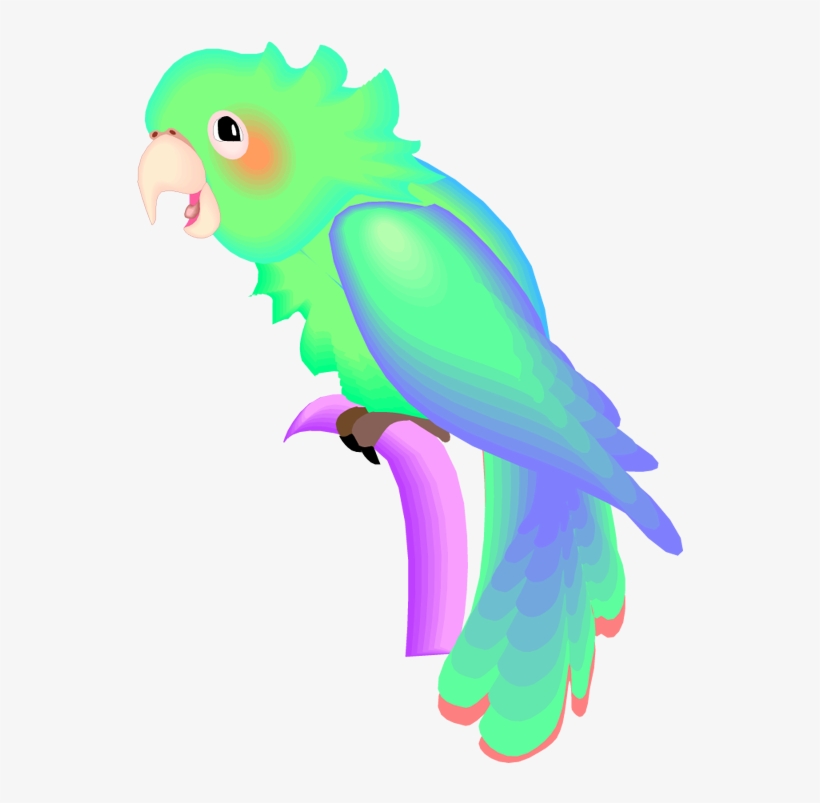Free And Macaw - Parrot, transparent png download