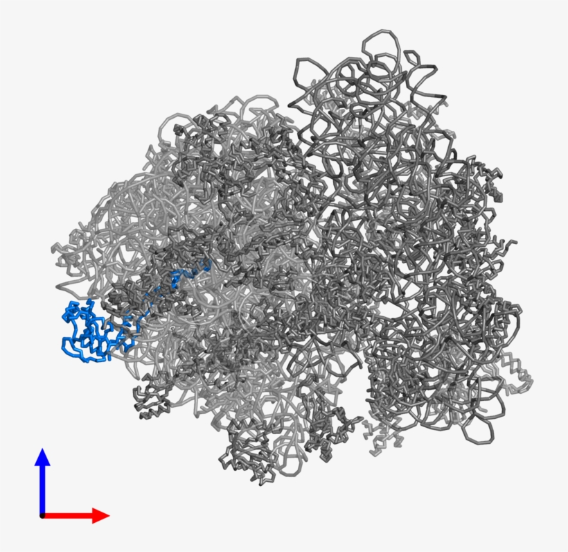 <div Class='caption-body'>pdb Entry 5kcr Contains 1 - Sketch, transparent png download