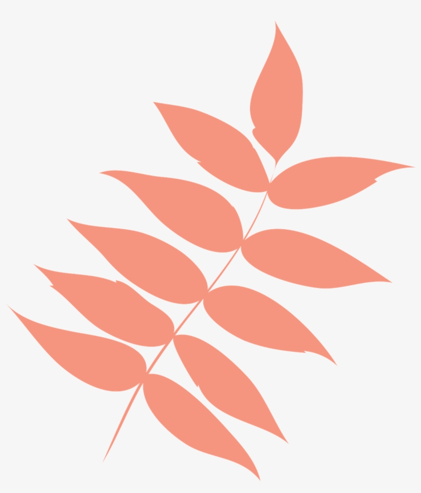 Park, Leaf Autumn Leaf Dry Leaf Leaf Ash Icon Co - Leaf, transparent png download