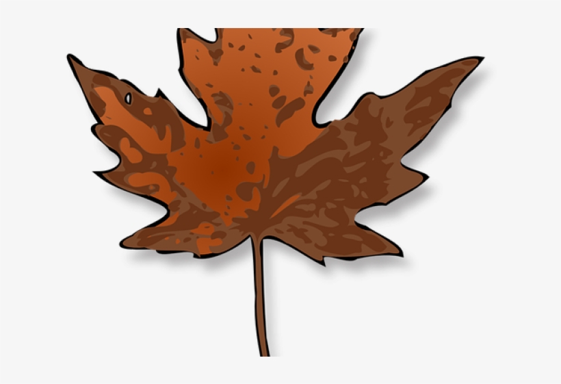 Maple Leaf Clipart Dry Leaf - Maple Leaf Clip Art, transparent png download