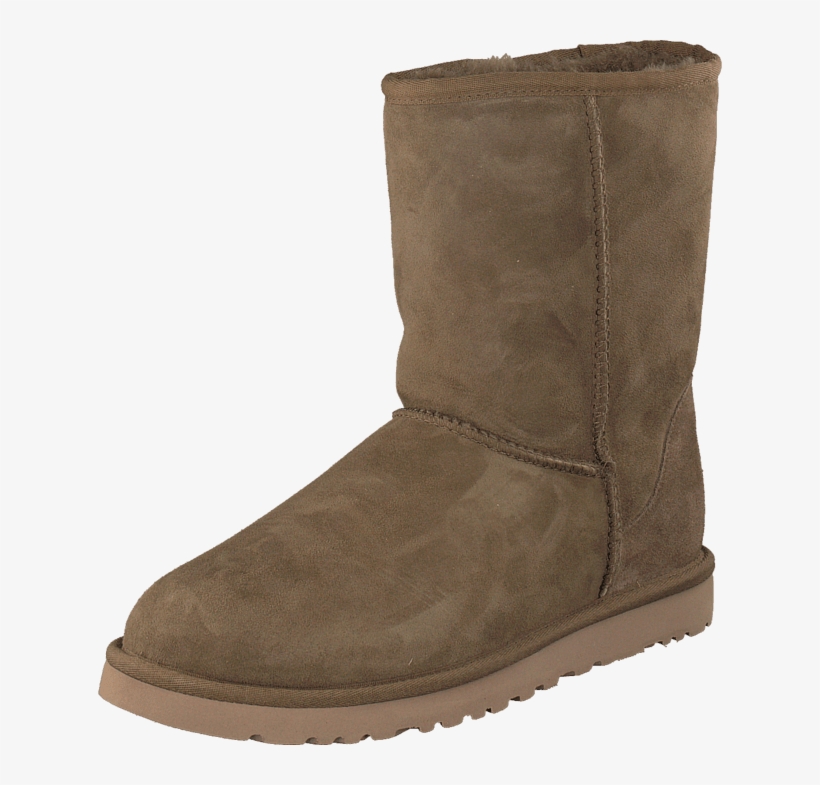 Short Dry Leaf - Shoe, transparent png download