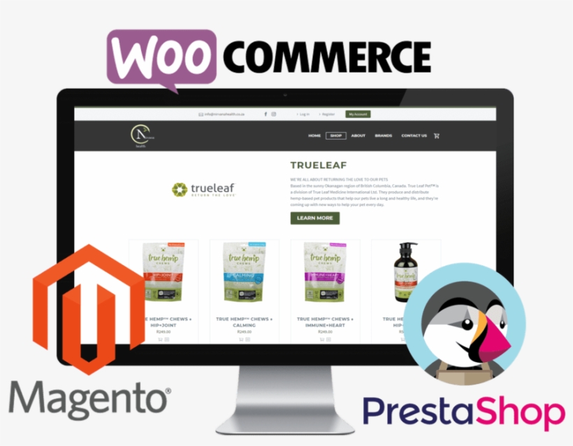 Ecommerce Website Design & - Design, transparent png download