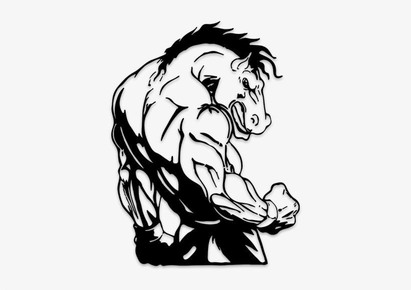 Ky Open Bodybuilding Kentucky's Premiere Bodybuilding - Bodybuilding Art Png, transparent png download
