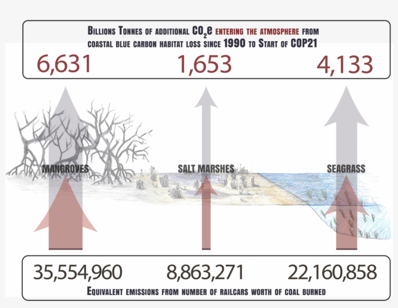 102,221,356 Trips Around The World - Snow, transparent png download