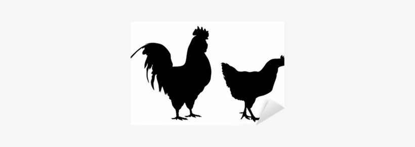 Never Use A Chicken And Other Stories, transparent png download