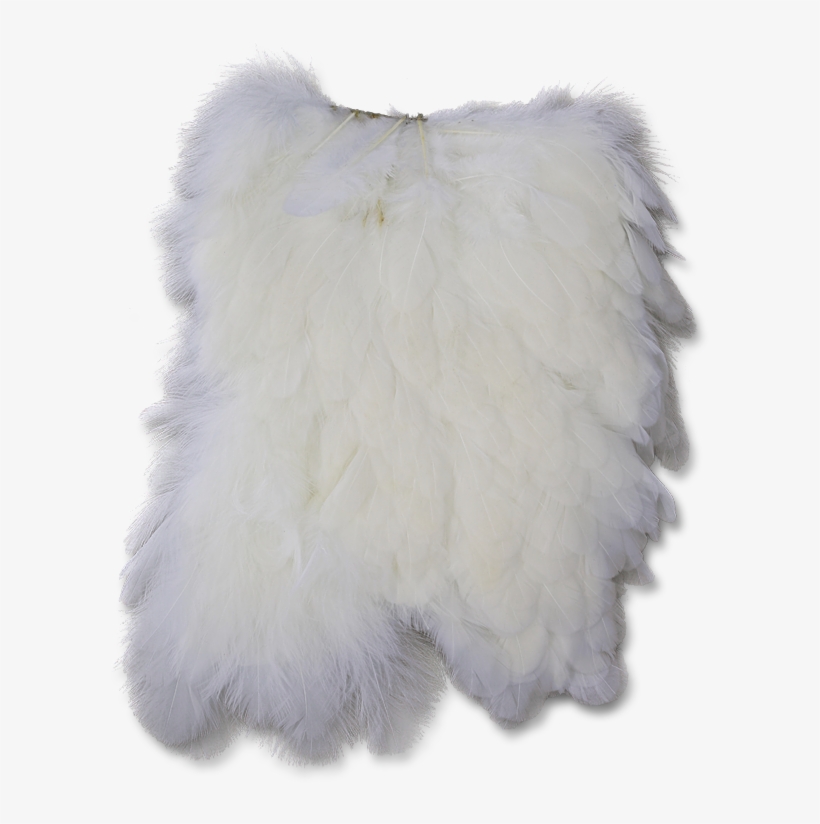 Hen Saddle - Fur Clothing, transparent png download