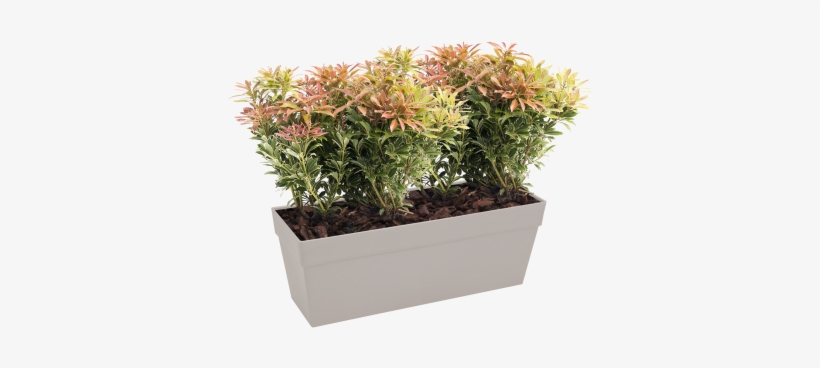 Gallery Image One - Elho Loft High Urban Square 30 X 30 Cm Anthracite D, transparent png download