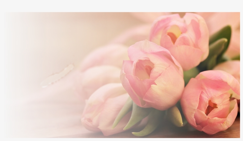 Custom Floral Arrangement - Tulip, transparent png download