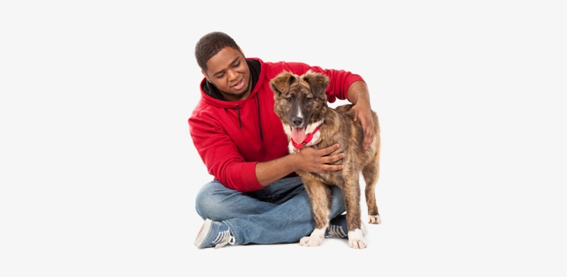 Your New Dog - Hinsdale Humane Society, transparent png download