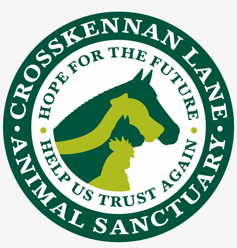 Medical College Of Virginia Logo, transparent png download