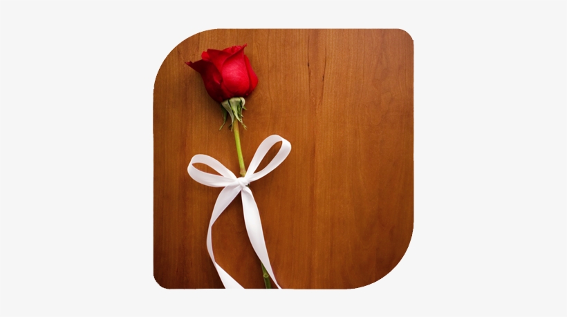 Wedding Rose And Ribbon - Best Love And Rose, transparent png download