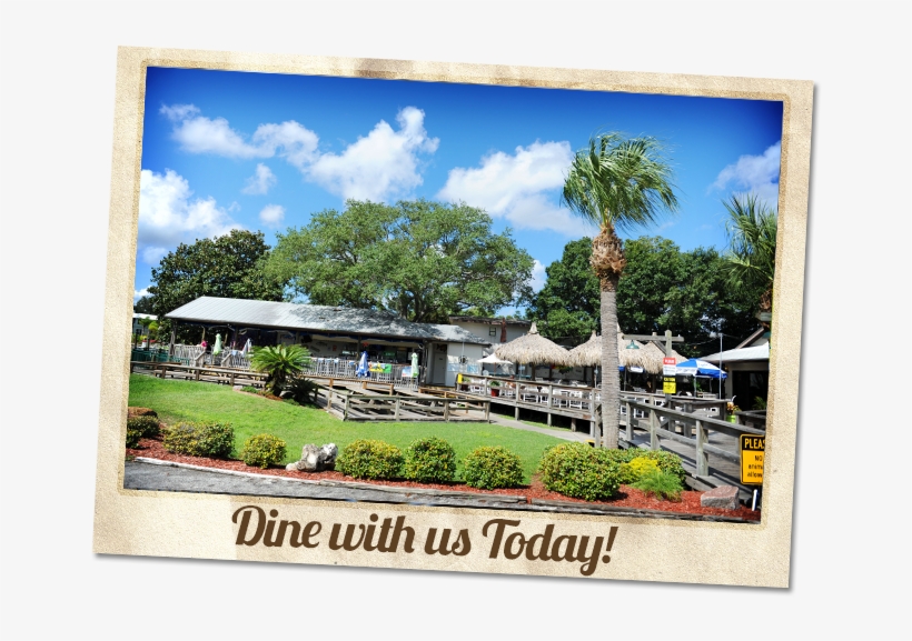 Crackers Crystal River, transparent png download