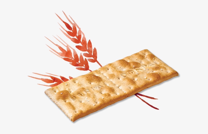 Crakers Doriano Dorati Come Il Grano - Crackers Doria, transparent png download