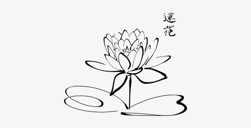 Lotus Flower Calligraphy Chinese Fleur Blo - Diagram Of Lotus Flower, transparent png download