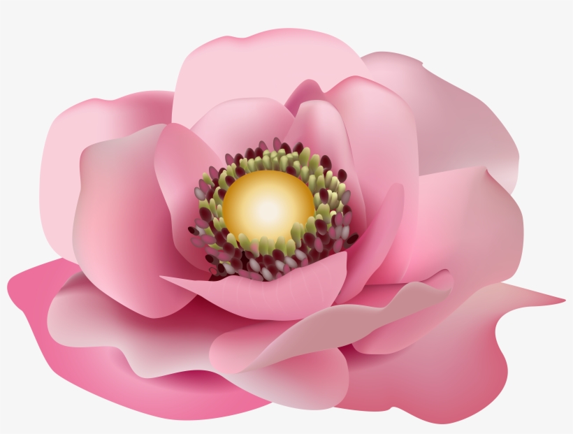 Pink Transparent Png Clip - Flower Pink Clipart, transparent png download