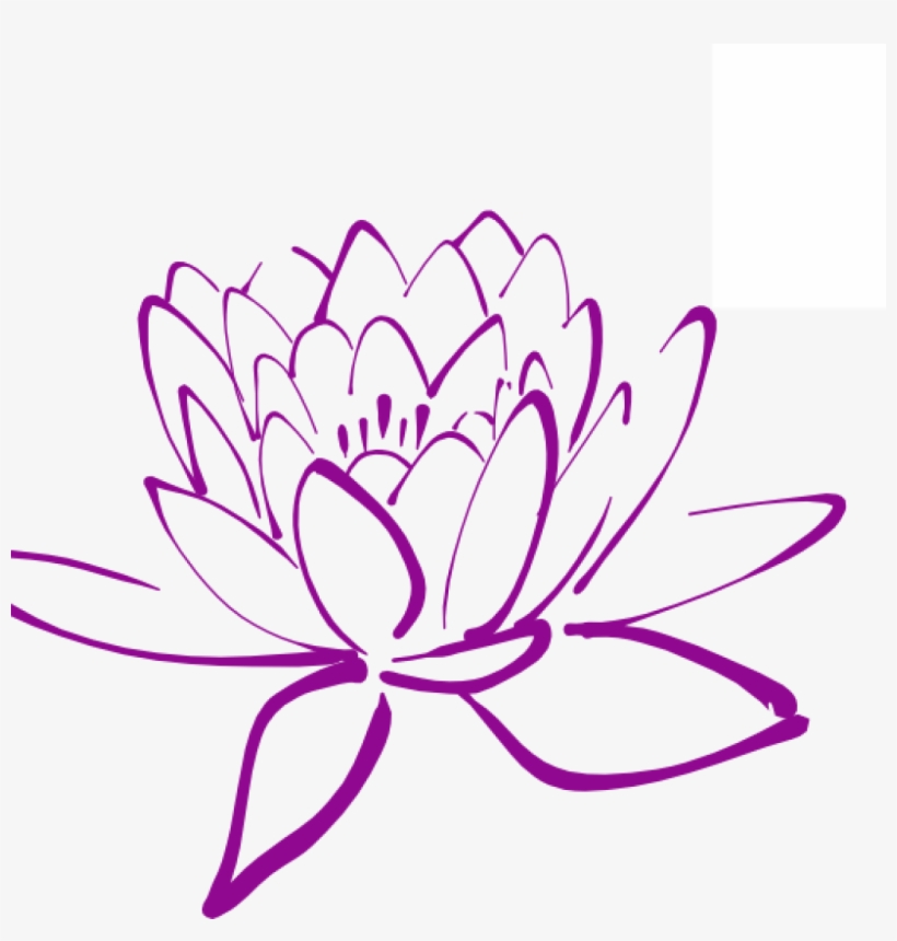Flower Hatenylo Com Free Cliparts Download Clip - Purple Magnolia Clip Art, transparent png download