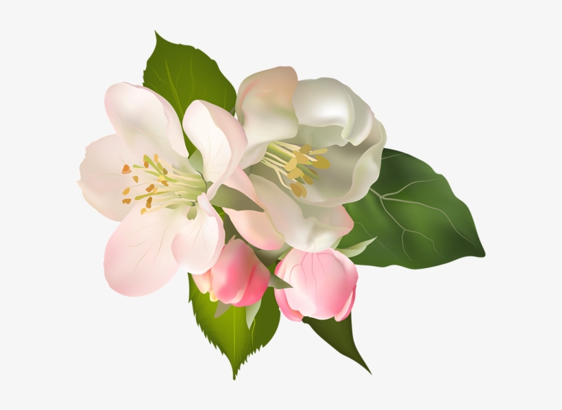 At Getdrawings Com Free For Personal Use - Champagne Png, transparent png download