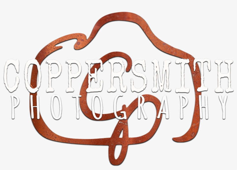 Coppersmith Photography - Illustration, transparent png download