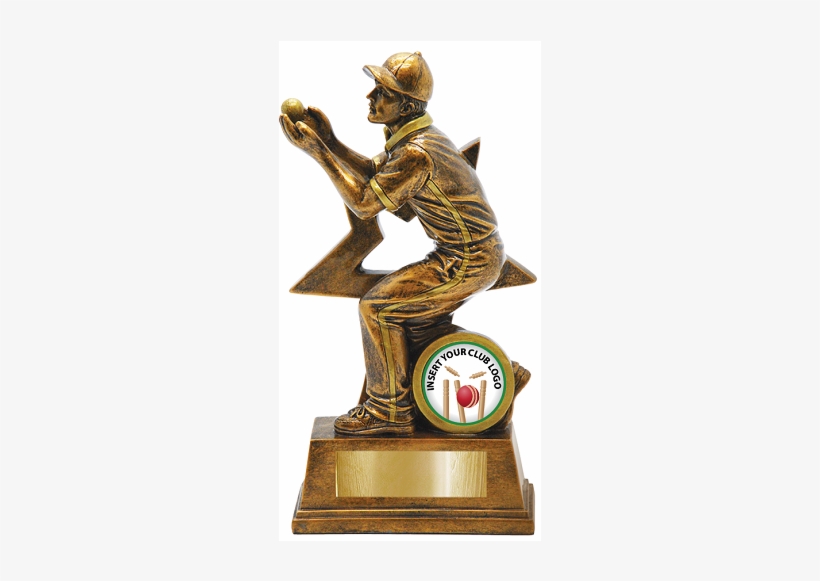 Golden Duck Cricket Trophy 13cm, transparent png download