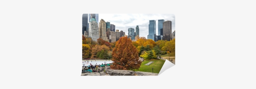 Autumn Leaves Foliage In New York City Central Park - New York City, transparent png download