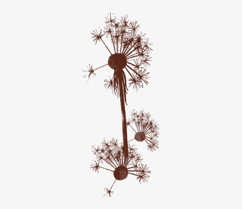 Nasa Mala Zavrzlama - Globe Thistle, transparent png download