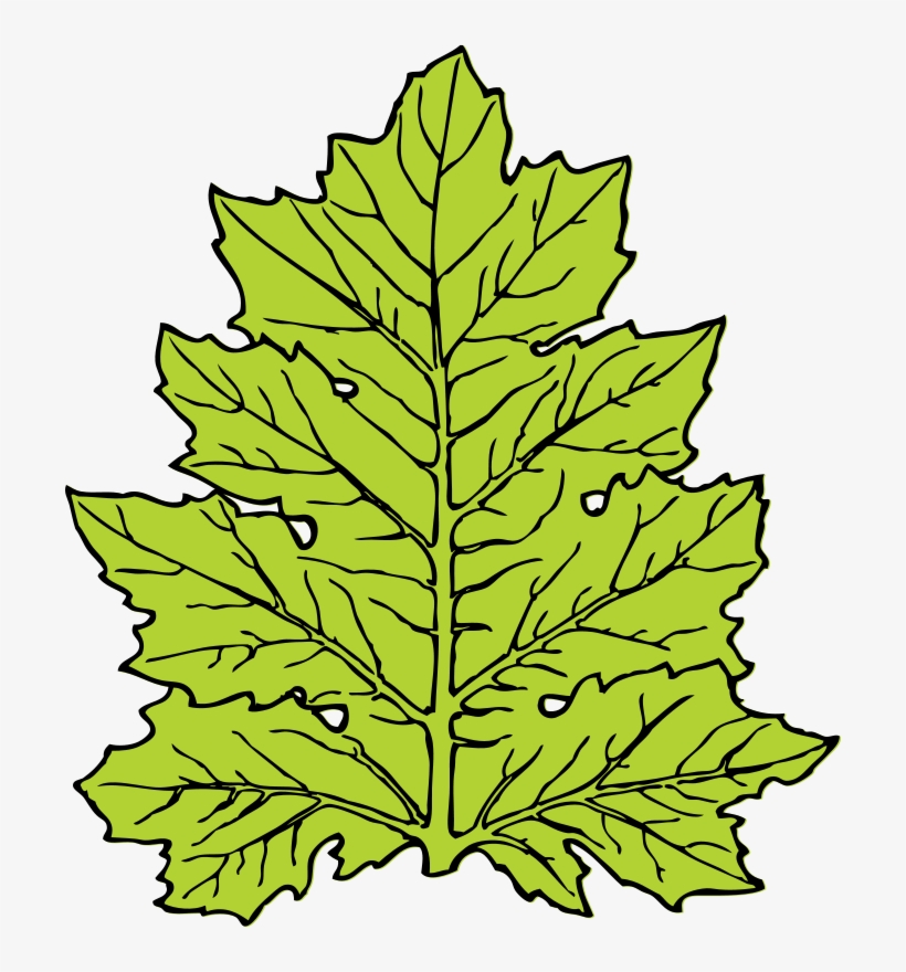 Get Notified Of Exclusive Freebies - Leaf Clip Art, transparent png download