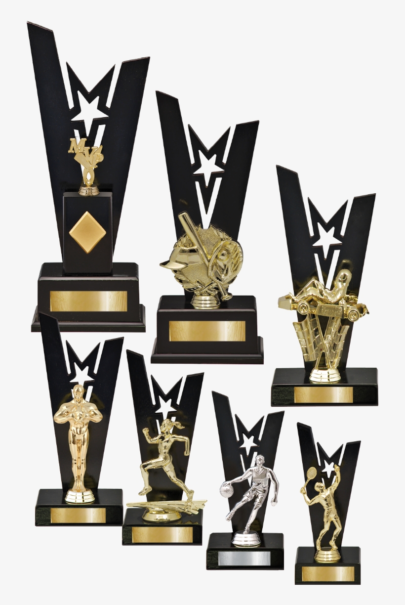 D Timber Star V Series - Trophy, transparent png download