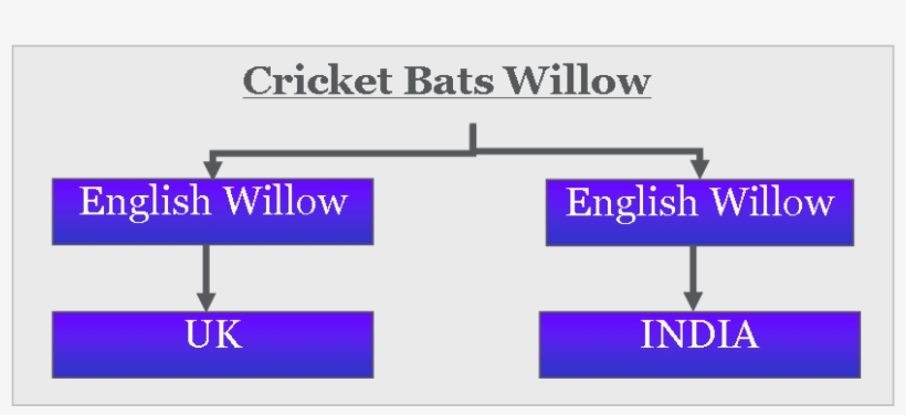 Cricket Bats Willow Type - English Willow Bat Making Trees, transparent png download